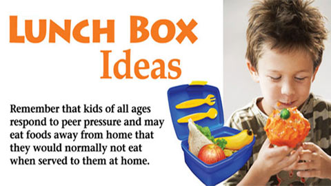 Lunch Box Ideas | Sustagen Malaysia
